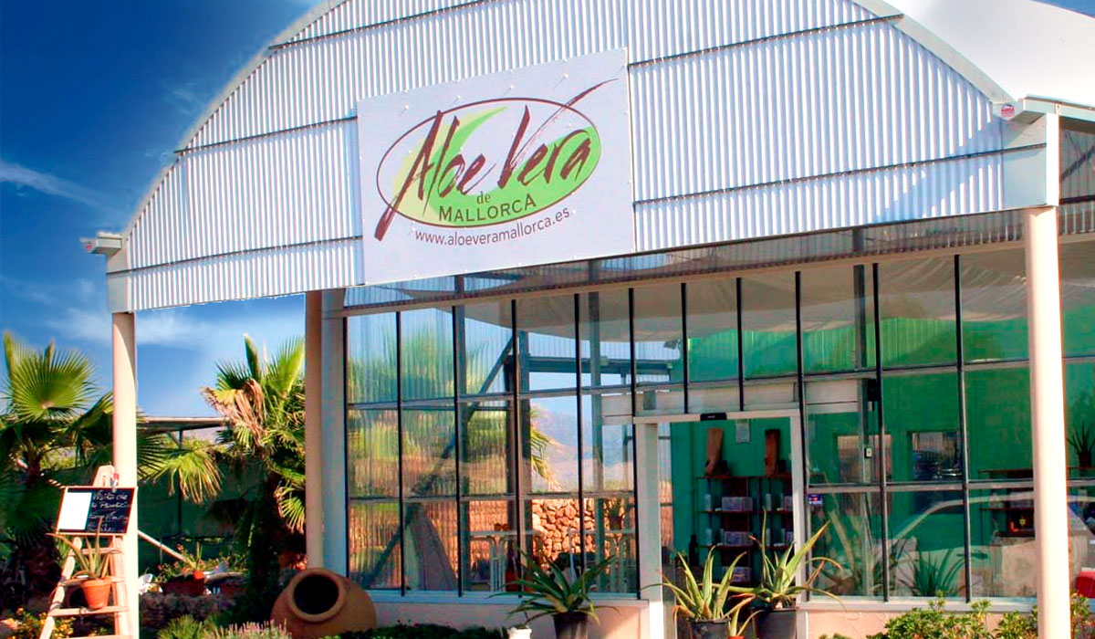 Die Aloe Vera de Mallorca Farm liegt etwas landeinwärts bei Santa Margalida ca. 15 Autominuten vom Ferienort Can Picafort.